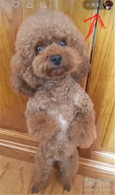 快手上的特別關注是什么意思