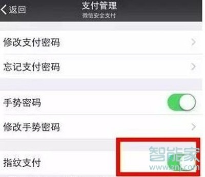 vivoz5微信怎么開啟指紋支付