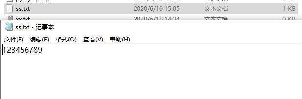 python寫文件時覆蓋原來的實例方法