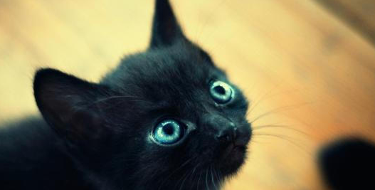 Python實現手繪圖效果實例分享