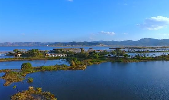 C、C++、Java到Python,編程入門學(xué)習(xí)什么語言比較好