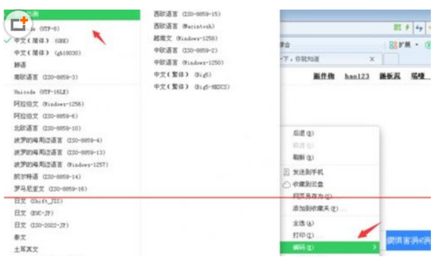 百度瀏覽器中出現打開亂碼怎么辦？出現打開亂碼解決方法一覽