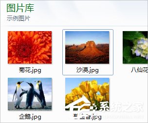 Win8電腦圖片不顯示縮略圖怎么解決？