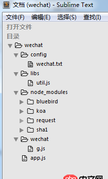 node.js - 用node做微信開發后臺，獲取access_token報錯