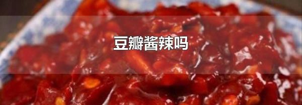 豆瓣醬辣嗎