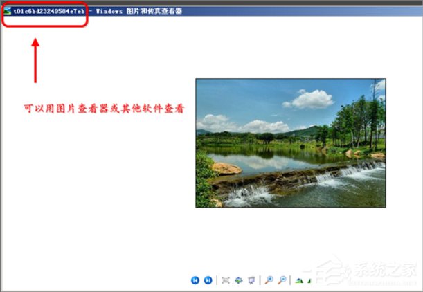 WinXP縮略圖不顯示文件名怎么辦？