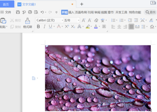 word圖片柔化邊緣設置教程分享