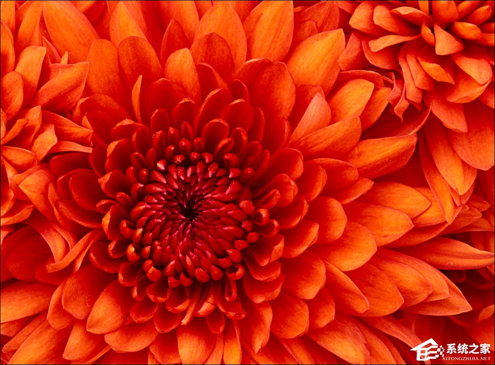 Win7屏保怎么設置？Win7屏幕保護程序如何打開？