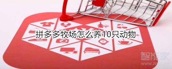 拼多多牧場怎么養(yǎng)10只動物