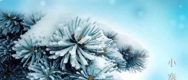 又是一年小寒日,小寒詩詞你可知?朋友圈文案有著落了