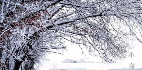 又是一年小寒日,小寒詩詞你可知?朋友圈文案有著落了