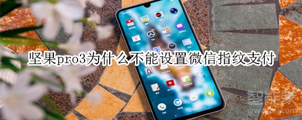 堅(jiān)果pro3為什么不能設(shè)置微信指紋支付