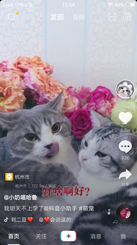 抖音全屏設置在哪