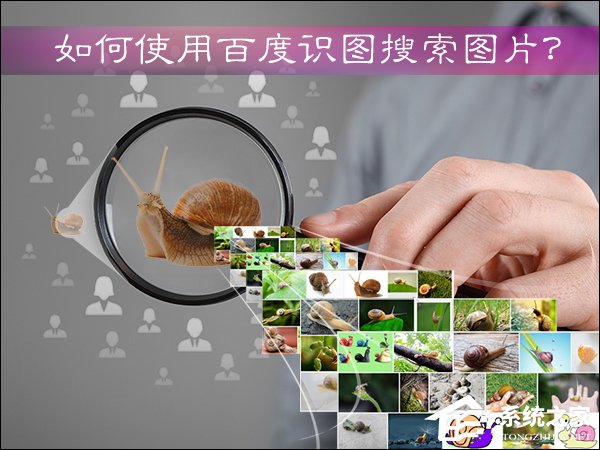 如何使用百度識圖搜索圖片？百度識圖怎么用？