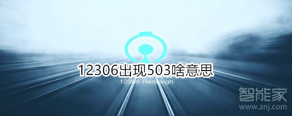 12306出現(xiàn)503啥意思