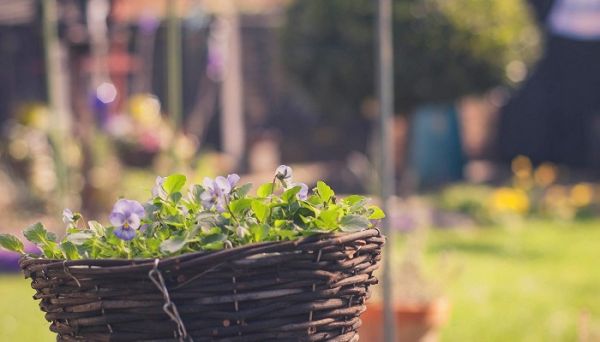 早上吸引朋友圈的句子 適合早上發圈的句子