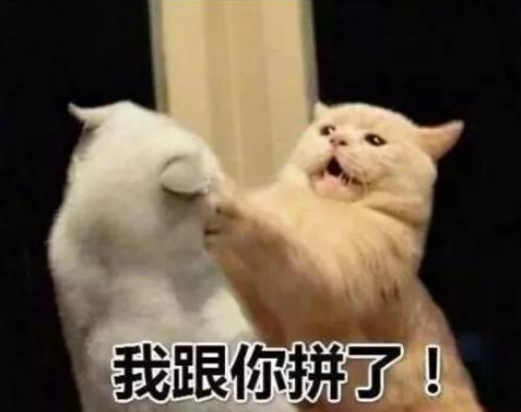 抖音新農(nóng)合是什么意思?新農(nóng)合干一架是什么梗