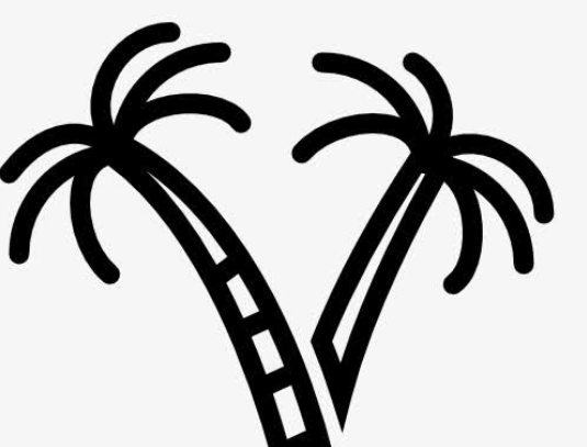 QQ畫(huà)圖紅包棕桐樹(shù)怎么畫(huà) QQ畫(huà)圖紅包棕桐樹(shù)最簡(jiǎn)畫(huà)法分享