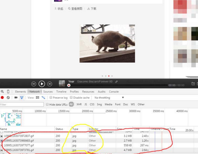 網(wǎng)易云音樂gif動圖怎么下載保存？下載保存gif動圖步驟分享