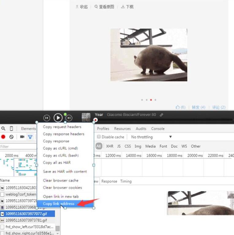 網(wǎng)易云音樂gif動圖怎么下載保存？下載保存gif動圖步驟分享