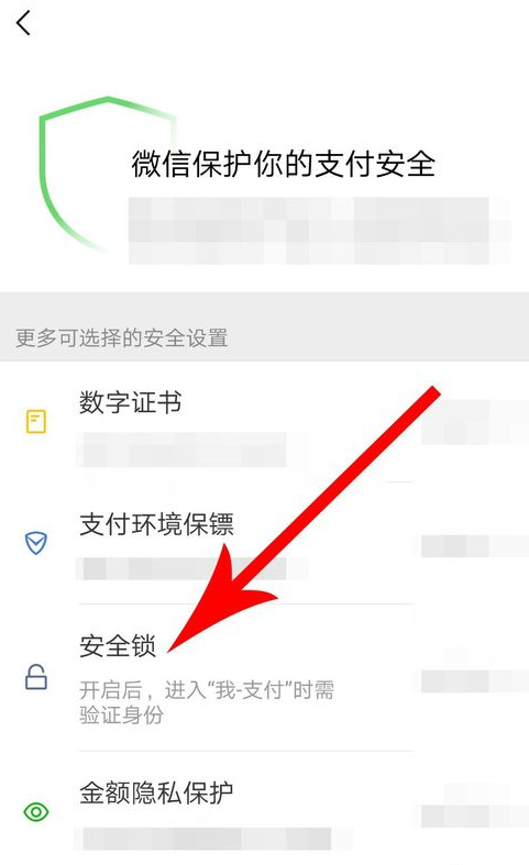 微信APP怎么設置支付安全鎖？設置支付安全鎖方法講解