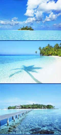 美圖秀秀如何拼接多圖?美圖秀秀拼接多圖操作步驟詳解