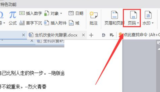 wps2007如何插入頁碼？wps2007插入頁碼圖文介紹