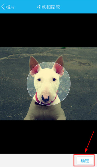 QQ如何設(shè)置頭像？QQ設(shè)置頭像流程說明