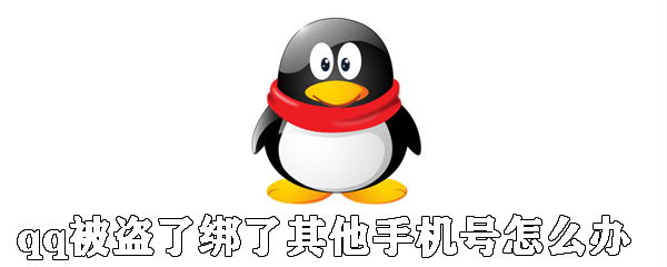 qq被盜了綁了其他手機號怎么辦？qq號被盜找回方法解析