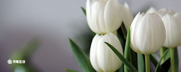 感慨人生的句子 適合發(fā)朋友圈的人生感悟句子