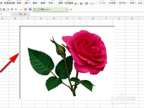 如何使用Excel為圖片制作陰影效果