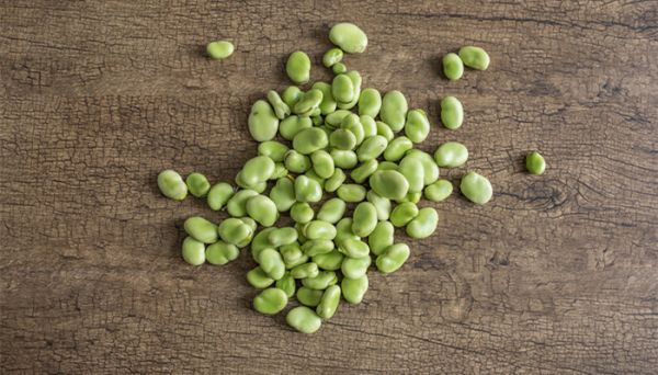 蠶豆瓣怎么保存 蠶豆的營養(yǎng)價值