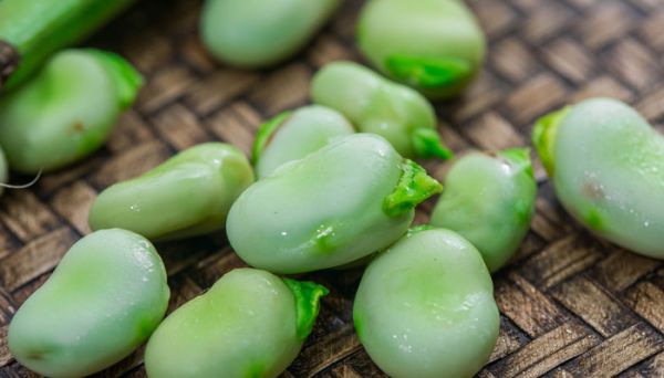 蠶豆瓣怎么保存 蠶豆的營養(yǎng)價值