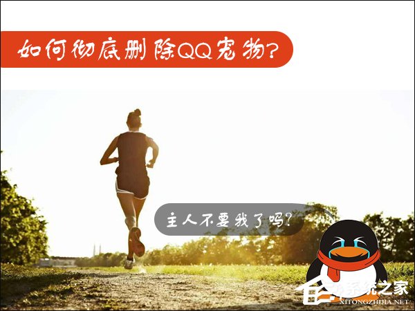 Win7如何卸載QQ寵物？關閉QQ寵物自動登錄的方法