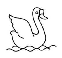 qq畫圖紅包天鵝怎么畫？QQ畫圖紅包天鵝畫法分享