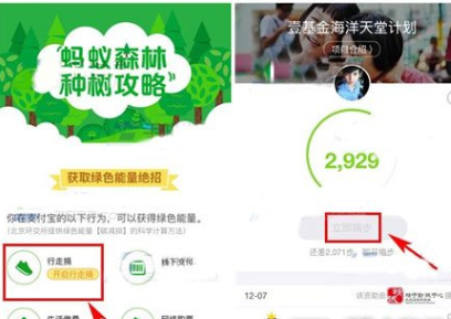 在支付寶里怎么將行走捐打開？將行走捐打開的步驟一覽