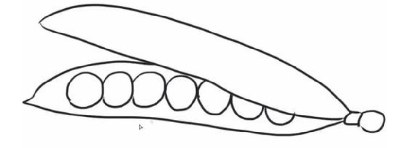 qq畫圖紅包豌豆怎么畫?QQ畫圖紅包所有圖案畫法匯總