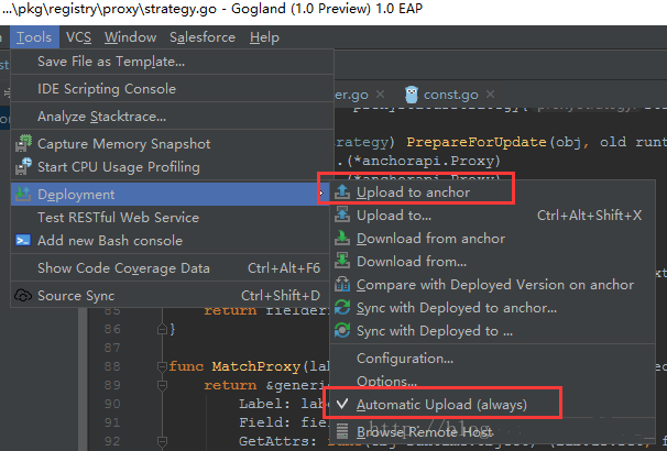Win10安裝golang ssh插件的詳細教程