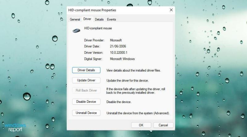 Win11中觸摸板不工作怎么辦？Win11中觸摸板不工作修復(fù)方法