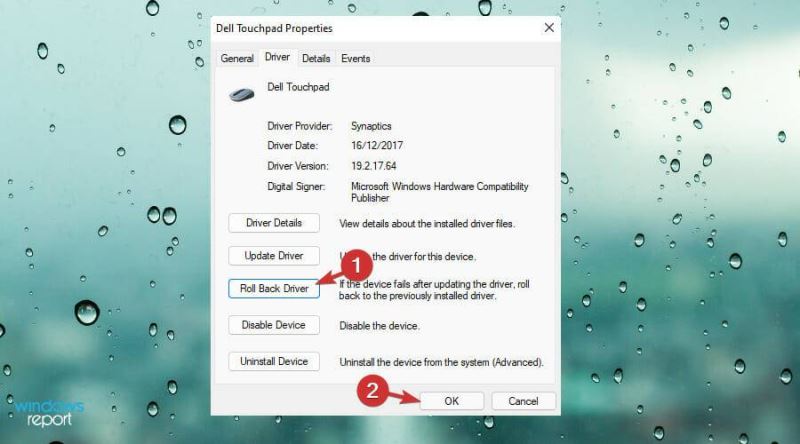 Win11中觸摸板不工作怎么辦？Win11中觸摸板不工作修復(fù)方法