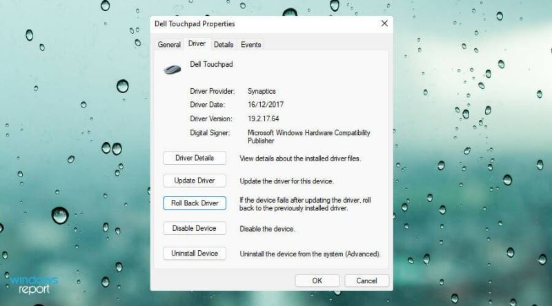 Win11中觸摸板不工作怎么辦？Win11中觸摸板不工作修復(fù)方法