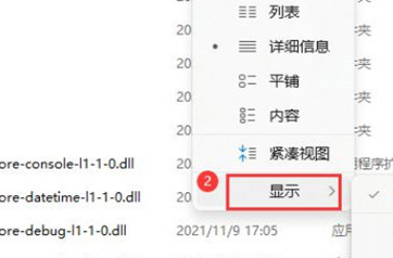 Win11如何展示文件擴展名?Win11展示文件擴展名的方法