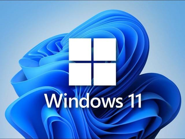 Win11提示ms-gamingoverlay怎么辦？Win11提示ms-gamingoverlay的解決方法