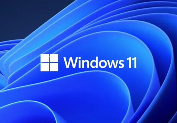 Win11的更新文件在哪里？Win11更新文件的位置