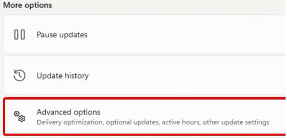Win11攝像頭無法開啟怎么辦？Win11攝像頭無法開啟的解決方法