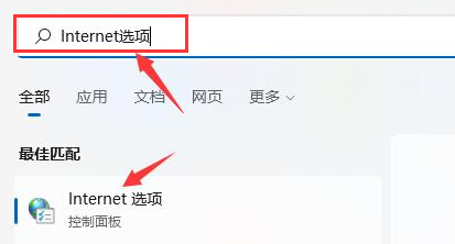 Windows11設(shè)置局域網(wǎng)絡(luò)技巧分享
