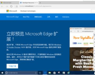 Win10系統中怎么給Edge瀏覽器添加翻譯擴展插件?Win10系統中給Edge瀏覽器添加翻譯擴展插件的方法介紹