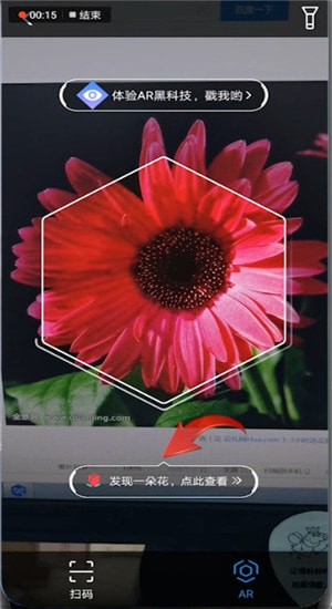 怎樣通過支付寶AR掃一掃識別花草？AR掃一掃識別花草的步驟分享