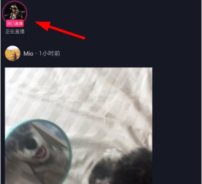 抖音怎么加入粉絲團？加入粉絲團方法說明