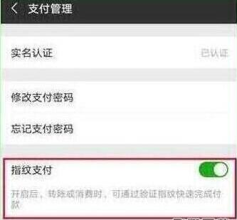 榮耀20手機微信指紋支付如何設置?微信指紋支付設置方法分享